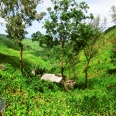 Aventure et spectacles naturels 