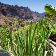 Aventure et spectacles naturels